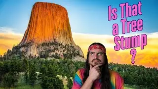 Are Mountains Actually Giant Tree Stumps? 10 UNBELIEVABLE Clues