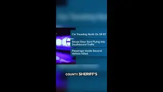 25-year-old woman killed in deadly deer crash
