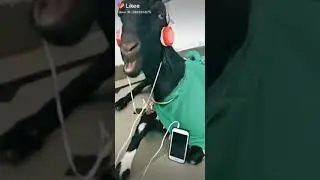 Kpko