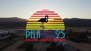 Pela Hotel | Skala-Kallonis Lesvos | Find your second home
