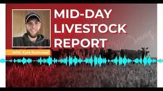 Midday Livestock Report with Kyle Bumsted  Thursday | 12/18/25
