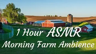 ASMR|No Talking&bull;1 Hour Morning Farm Ambience | White Noise for Relaxing，Sleeping，Studying