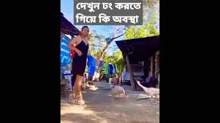 Prank On The Yard While Attacking By Ducks#Shorts | দেখুন কি ঘটে!!