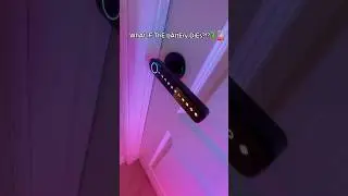 WHAT CAN&rsquo;T THIS DOOR HANDLE DO?!?🤯😮&zwj;💨🔑 #reels