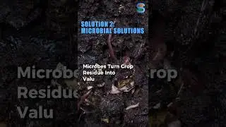 Solutions to Stubble Burning #airpollution #stubbleburning #innovation
