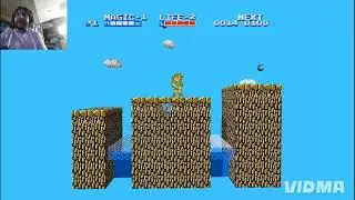 3DSEN from Steam Review of Zelda II.