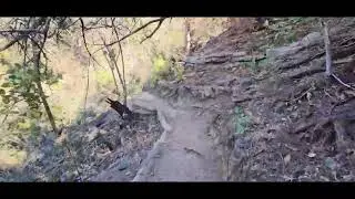 River Place Canyon Trail 12/18/2023