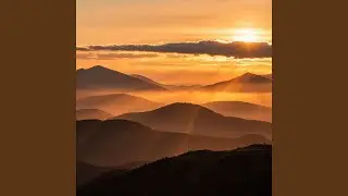 Golden Glow