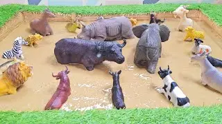 The Epic Mud Battle Between Three Big African Animals and Mountain Animals!