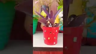 Diy planter✨😲😲😁😳😳#diy#viralshorts