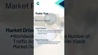 Radar Gun Market Report 2024 (Global Edition)