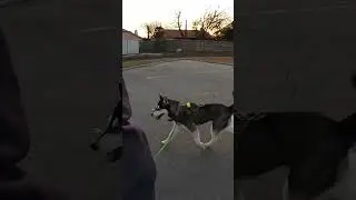 Moms and Shiloh ride with Lobo and me