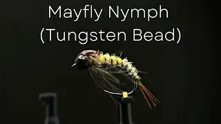 Trout & Grayling Fly Tying Tutorial - Mayfly Nymph (Tungsten Beaded)