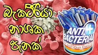 Anti Bacterial Pen Atlas | SL Products | Made In SriLanka