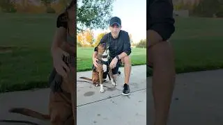 Teach your new dog their name fast! #dogtraining #puppytraining #dogtrainingtips #dogtrainer #boise