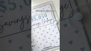 #100envelopechallenge #cashstuffing #envelopesystem