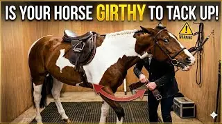 Is Your Horse Girthy to Tack Up? Try This Simple Tacking-Up Routine