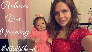 Unboxing Reborn Baby Tobiah by Laura Lee Eagles!