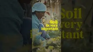 Why #soil matters