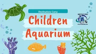 Destinations Camp to the Children Aquarium   Dallas 2024
