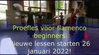 Flamenco danslessen in Leeuwarden 2022