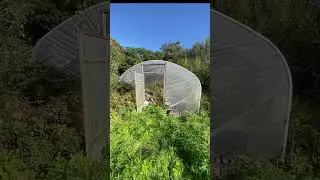 Quit my job to start a small Farm growing Vegetables for a living - 1st tour of the land!  #farming