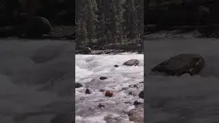 A wild river, now moving like a dream