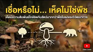 Believe It or Not: Mushrooms Aren&rsquo;t Plants &mdash; Fungi Are Closer to Animals!