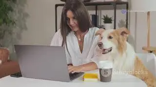 Top 5 Ethical Brands for Labrador Lovers: Shop Smart, Shop Kind! #adoptdontshop #doglover #petcare