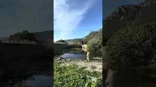 1 Hour of Crystal Clear Spring Water Sounds &ndash; Ducks, Birds & Nature from Azmak River