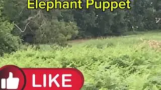 Elephant Puppet sees red deer in the distance 