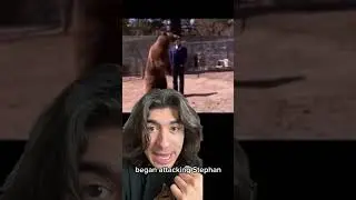 Медведь забил своего тренера до смерти 😱
