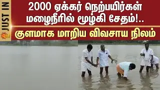 Cyclone Impact | Farmers Sad | 2000 Acres | Paddy Field | Damaged | Heavy Rain | Sun News
