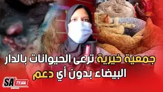 جمعية خيرية ترعى الحيوانات بالدار البيضاء بدون أي دعم