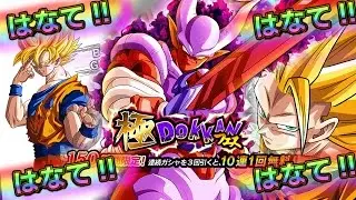 YESS!! STR JANEMBA MULTI SUMMONS! The PULLS ARE CRAZY! DBZ Dokkan battle!