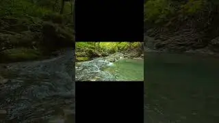 RELAXING MUSIC🌿Piano & Water Sounds💦 Sleep 💤Calming & Meditation. Stress Relief#Shorts