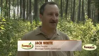 Roy Thigpen, Sr. - MFA MS Tree Farmer of the Year