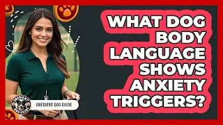 What Dog Body Language Shows Anxiety Triggers?