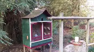 Duiventil / Pigeon coop