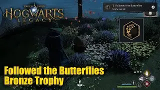 Hogwarts Legacy - Followed the Butterflies Trophy Guide (Follow butterflies to a treasure)