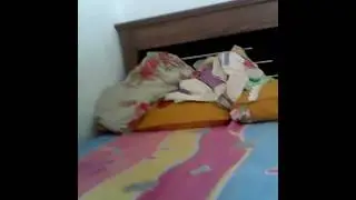 Afhk