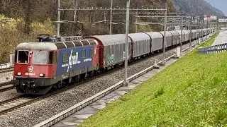 #391# TRENI MERCI - Ma che bel merci di telonati diretti verso il portale sud di Alptransit!