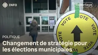 Gr&egrave;ve &agrave; Postes Canada : des municipalit&eacute;s s&rsquo;adaptent en vue des &eacute;lections | Municipales Qu&eacute;bec 2025