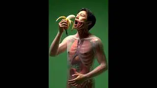 What Happens Inside Your Body When You Eat Bananas Shocking Science Animation#shorts #healthy