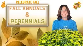 Fall Annuals & Perennials