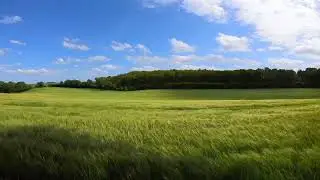 Guided Meditation for Golf