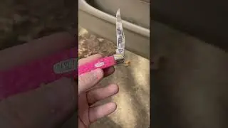 Case &ldquo;pink bubba gum&rdquo; muskrat from 1998