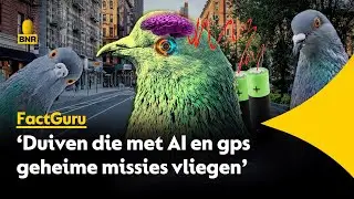 Rusland gebruikt duiven als spionnen bij geheime missies, schrijft Forbes Russia