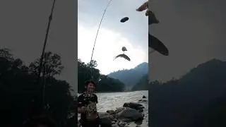 Fishing in Rangeet river #fishingadventure #shorts