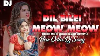 DIL BILEI MEOW MEOW ODIA TOPORI MIX DJ SONG NEW YEAR SPL🎧